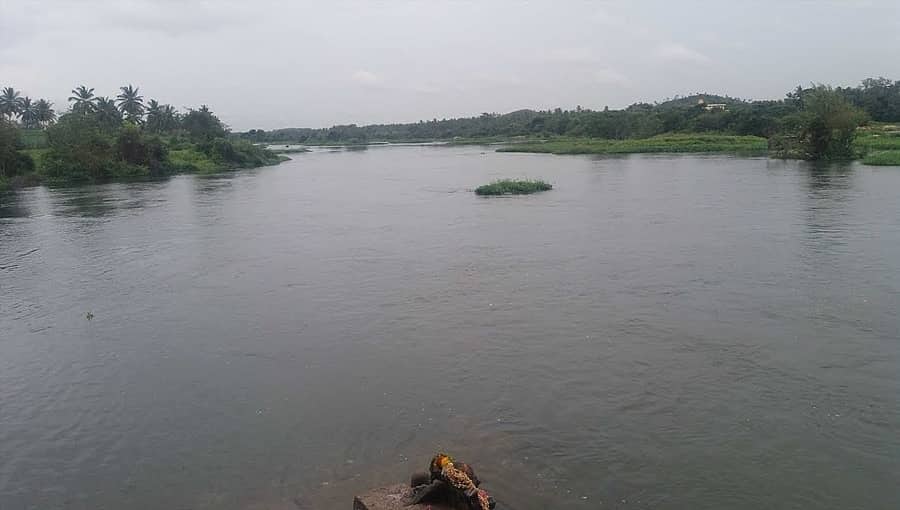ಕೋವಿಡ್ ಉಲ್ಬಣ: ಶ್ರೀರಂಗಪಟ್ಟಣದ ಕಾವೇರಿ ನದಿಯಲ್ಲಿ ಚಿತಾಭಸ್ಮ ಬಿಡುವುದಕ್ಕೆ ರಾಜ್ಯ ಸರ್ಕಾರ ನಿಷೇಧ