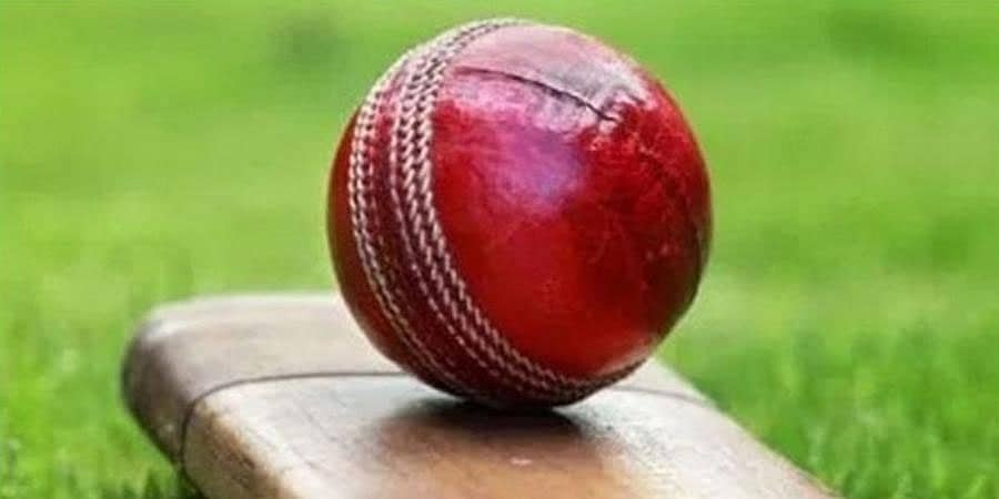 ವಿಲ್ಲೋಗೆ ಬಿದಿರು ಸ್ಪರ್ಧೆ: ಕ್ರಿಕೆಟ್ ಬ್ಯಾಟ್ ತಯಾರಿಕೆಯಲ್ಲಿ ವಿನೂತನ ತಂತ್ರಜ್ಞಾನ; ಬೆಲೆ ಕಡಿಮೆ, ಸಾಮರ್ಥ್ಯ ಹೆಚ್ಚು!