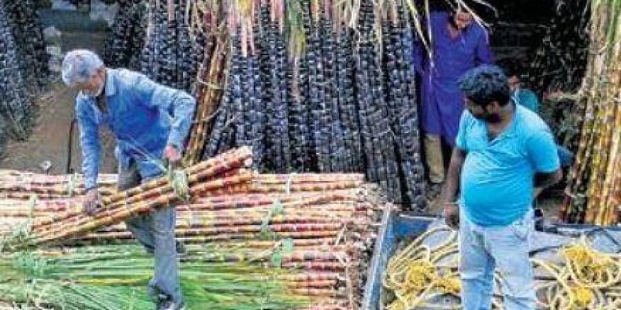ಸಕ್ಕರೆ ಕಾರ್ಖಾನೆಗಳಿಂದ ಕಬ್ಬು ಬೆಳೆಗಾರರಿಗೆ 450 ಕೋಟಿ ರೂ. ಮೊತ್ತದ ಬಾಕಿ!