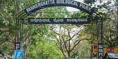 ಜನ್ಮ ನೀಡಿ ಬಿಟ್ಟುಹೋದ ತಾಯಿ ಹುಲಿ; ಬನ್ನೇರುಘಟ್ಟ ಜೈವಿಕ ಉದ್ಯಾನವನದಲ್ಲಿ ಮೂರು ಮರಿಗಳು ಸಾವು!