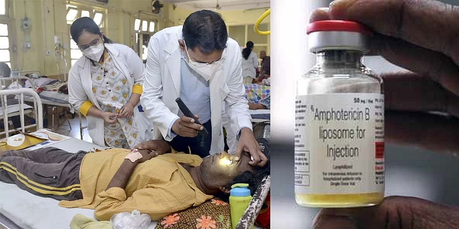ಬ್ಲಾಕ್ ಫಂಗಸ್: ಕರ್ನಾಟಕಕ್ಕೆ ಮತ್ತೆ 5,240 ವೈಯಲ್ಸ್ ಆಂಫೊಟೆರಿಸಿನ್-ಬಿ ಪೂರೈಕೆ- ಕೇಂದ್ರ ಸಚಿವ ಸದಾನಂದಗೌಡ