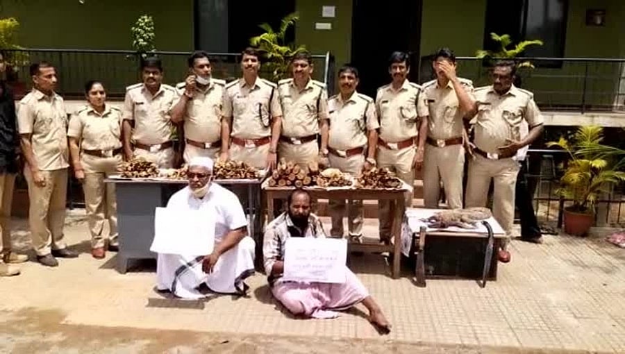 ಬಂಟ್ವಾಳ: 3 ಲಕ್ಷ ರೂ. ಮೌಲ್ಯದ ಶ್ರೀಗಂಧ ಮತ್ತು ಉಡ ಮಾರಾಟಕ್ಕೆ ಯತ್ನ; ಇಬ್ಬರ ಸೆರೆ