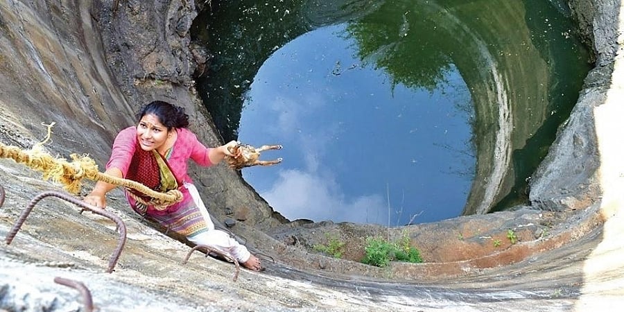ಮಹಾಬೂಬಾಬಾದ್ 24x7 ರಕ್ಷಕಿ: ನರಿಯನ್ನು ರಕ್ಷಿಸಲು ಬಾವಿಗೆ ಇಳಿದ ಮೊಹಮ್ಮದ್ ಸುಮಾ, ಇಲ್ಲಿಯವರೆಗೆ 120 ಪ್ರಾಣಿಗಳ ರಕ್ಷಣೆ