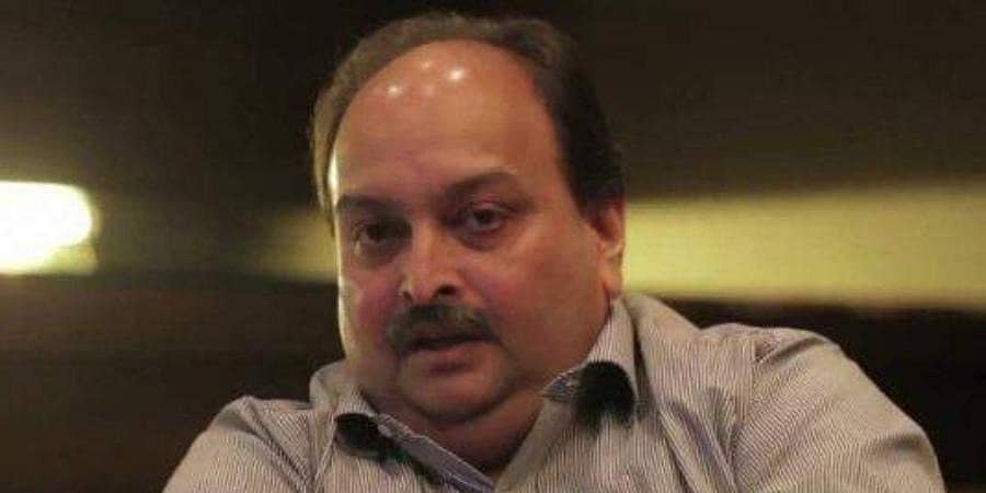 'ಸ್ನೇಹಿತೆ ಬಾಬರಾ ಇಂಡಿಯನ್ ಎಜೆಂಟ್' ಎಂದ ವಜ್ರದ ವ್ಯಾಪಾರಿ; ಚೋಕ್ಸಿ ಹಕ್ಕುಗಳನ್ನು ಗೌರವಿಸಲಾಗುವುದು: ಡೊಮಿನಿಕಾ ಪಿಎಂ