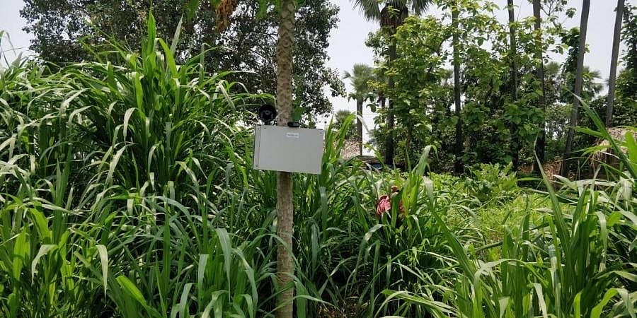 ರೈತರಿಗೆ ವರದಾನ: ಪ್ರಾಣಿಗಳಿಂದ ಬೆಳೆ ರಕ್ಷಿಸುವುದಕ್ಕೆ 'ಸೈರನ್' ಉಪಕರಣ ಅಭಿವೃದ್ಧಿಪಡಿಸಿದ ಐಐಟಿಯನ್!