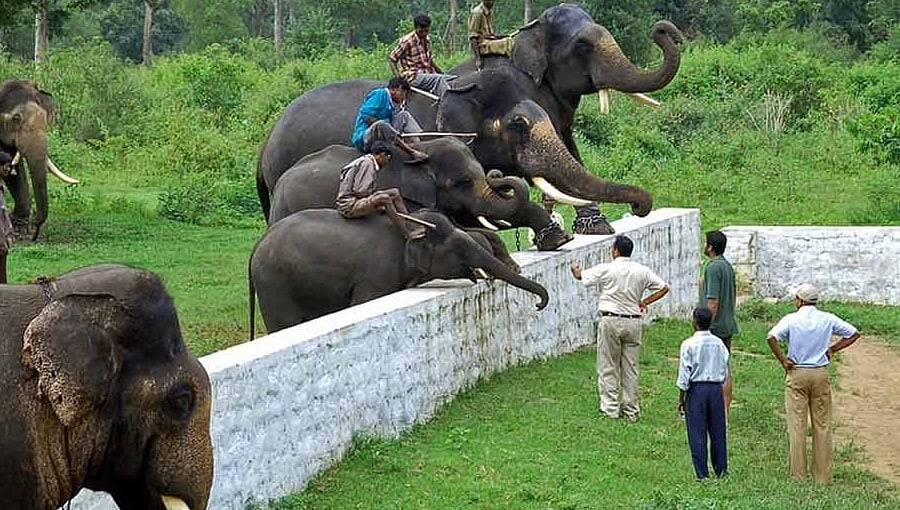 ಅನ್'ಲಾಕ್ ಘೋಷಣೆಯಾದರೂ ಕೊಡಗು ಪ್ರವಾಸಿ ತಾಣಗಳು ಇನ್ನೂ ಕ್ಲೋಸ್: ಪ್ರವಾಸಿಗರಿಗೆ ನಿರಾಸೆ