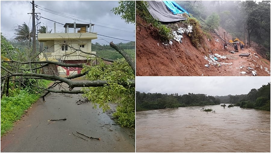 ಕೊಡಗಿನಾದ್ಯಂತ ಭಾರಿ ಮಳೆ-ಭೂಕುಸಿತ: ಧರೆಗುರುಳಿದ ಬೃಹತ್ ಮರಗಳು, ವಿದ್ಯುತ್ ಸಂಪರ್ಕ ಕಡಿತ!