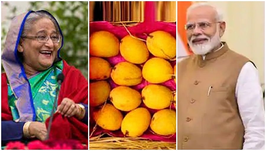 ಮೋದಿಗೆ 2,600 ಕೆಜಿ ಮಾವಿನ ಹಣ್ಣು ಕಳುಹಿಸಿದ ಬಾಂಗ್ಲಾ ಪ್ರಧಾನಿ ಶೇಕ್ ಹಸೀನಾ