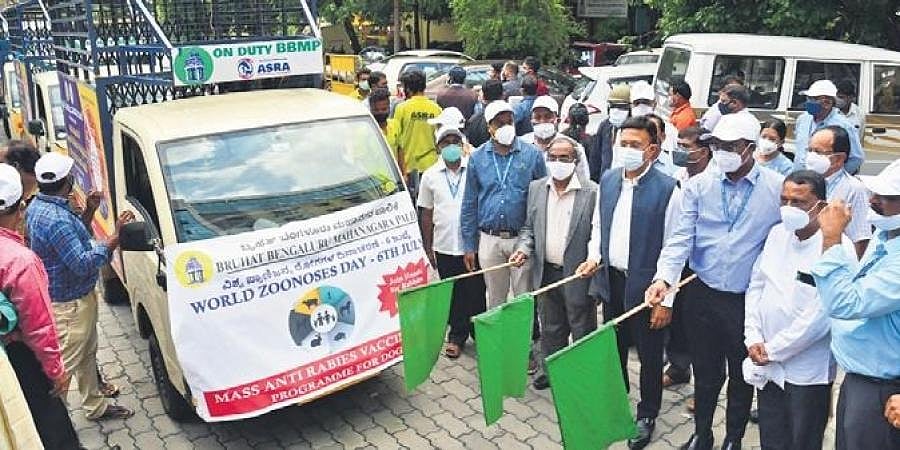 ಬೆಂಗಳೂರಲ್ಲಿ ಪ್ರತಿ ದಿನ 800 ನಾಯಿಗಳಿಗೆ ರೇಬಿಸ್ ಲಸಿಕೆ: ಪ್ರತ್ಯೇಕ ವಾಹನಕ್ಕೆ ಬಿಬಿಎಂಪಿ ಚಾಲನೆ