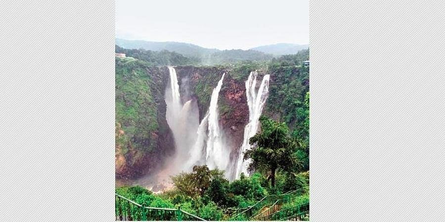 ವಿನಾಶದ ಅಂಚಿನಲ್ಲಿರುವ ಸಸ್ಯ-ಪ್ರಾಣಿ ಪ್ರಭೇದ, ಜೋಗ ಜಲಪಾತ ರಕ್ಷಿಸಿ: ಜೀವವೈವಿಧ್ಯ ಮಂಡಳಿ