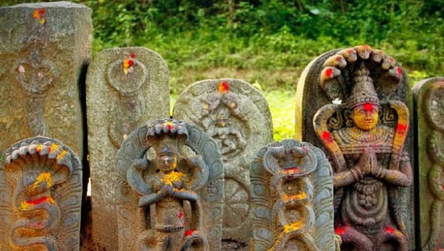 ಶ್ರಾವಣ ಮಾಸದ ಮೊದಲ ಹಬ್ಬ ನಾಗರಪಂಚಮಿ: ನಾಡಿನಾದ್ಯಂತ ಭಕ್ತರಿಂದ ಆಚರಣೆ, ಅಲ್ಲಲ್ಲಿ ಕೋವಿಡ್ ನಿಯಮ ಉಲ್ಲಂಘನೆ 