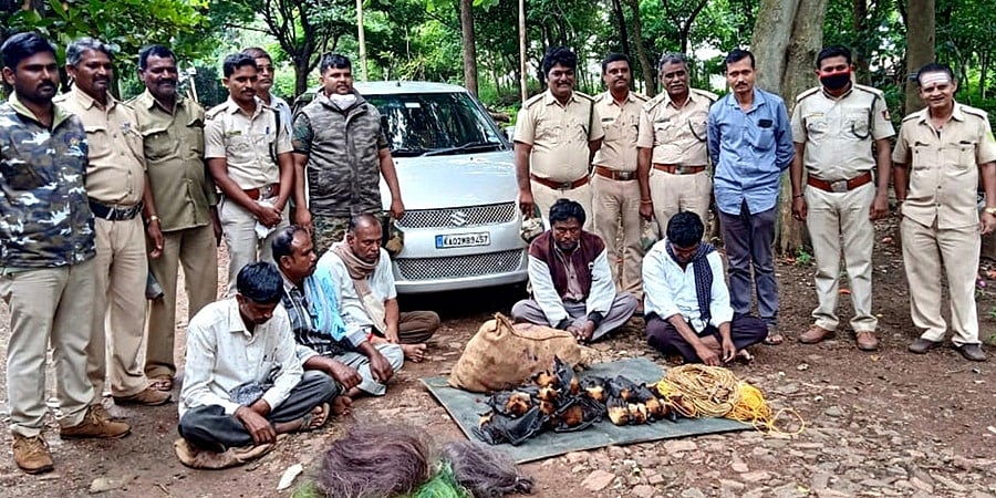 ಹಾವೇರಿ: 85 ಬಾವಲಿಗಳನ್ನು ಹತ್ಯೆ ಮಾಡಿದ ಐವರ ಬಂಧನ