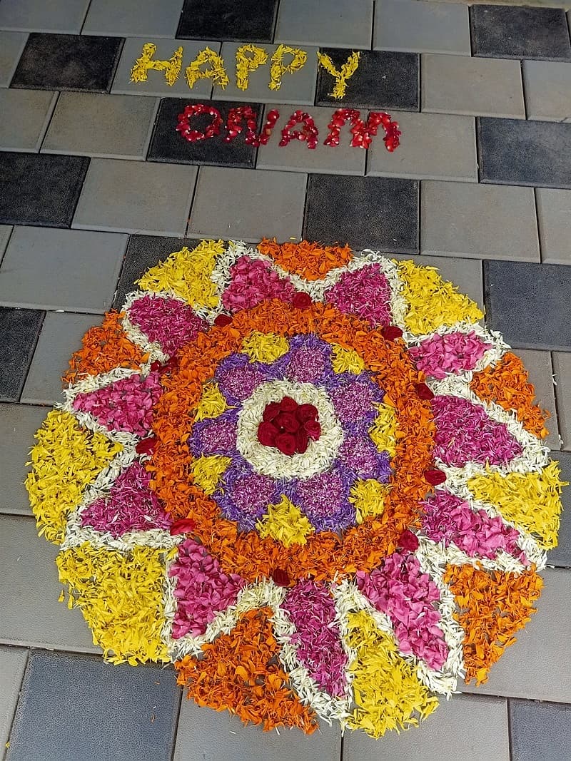 ಸುಗ್ಗಿಯ ಹಬ್ಬವನ್ನು ವಿವಿಧ ಚಟುವಟಿಕೆಗಳೊಂದಿಗೆ ಅತ್ಯಂತ ವೈಭವದಿಂದ ಮತ್ತು ಪ್ರದರ್ಶನದೊಂದಿಗೆ ಆಚರಿಸುವುದು ಓಣಂ ವಿಶೇಷ. ವಲ್ಲಂ ಕಾಳಿ (ದೋಣಿ ಓಟಗಳು), ಪುಲಿಕಲಿ (ಹುಲಿ ನೃತ್ಯಗಳು), ಪೂಕಳಂ (ಹೂವಿನ ರಂಗೋಲಿ) ಓಣತಪ್ಪನ್ (ಪೂಜೆ), ಓಣಂ ಕಲಿ, ಟಗ್ ಆಫ್ ವಾರ್, ತುಂಬಿ ತುಳ್ಳಲ್ (ಮಹಿಳಾ ನೃತ್ಯ), ಕುಮ್ಮಟ್ಟಿಕಾಲಿ