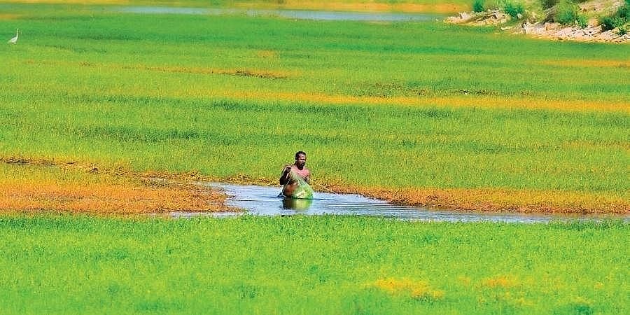 ದೊಡ್ಡಬೊಮ್ಮಸಂದ್ರ ಕೆರೆ ಪ್ರದೇಶದಲ್ಲಿ ಬಿಬಿಎಂಪಿಯಿಂದ ಅಕ್ರಮ ಒತ್ತುವರಿ ತೆರವು ಕಾರ್ಯಾಚರಣೆ