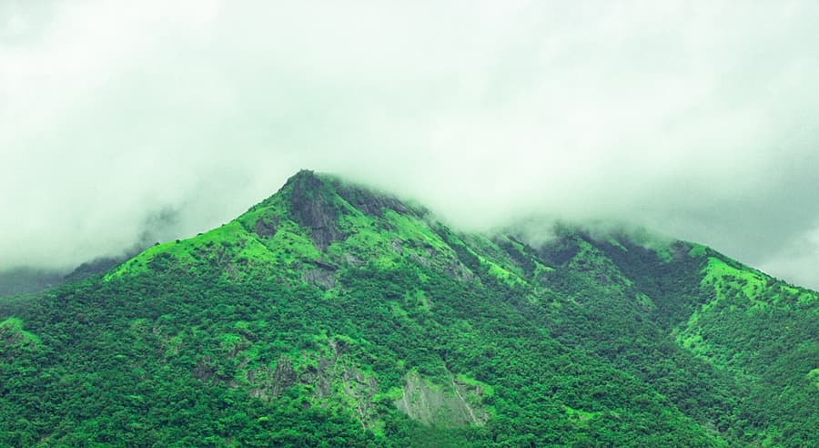 ಪಶ್ಚಿಮಘಟ್ಟ ಪರ್ವತ ಶ್ರೇಣಿ