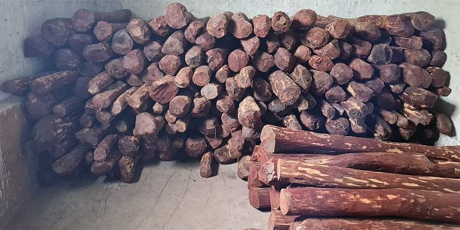 ಸಿಸಿಬಿ ಕಾರ್ಯಾಚರಣೆ: ಬೆಂಗಳೂರಿನಲ್ಲಿ 4.5 ಕೋಟಿ ರೂ. ಮೌಲ್ಯದ ರಕ್ತಚಂದನ ವಶಕ್ಕೆ, ಇಬ್ಬರ ಬಂಧನ