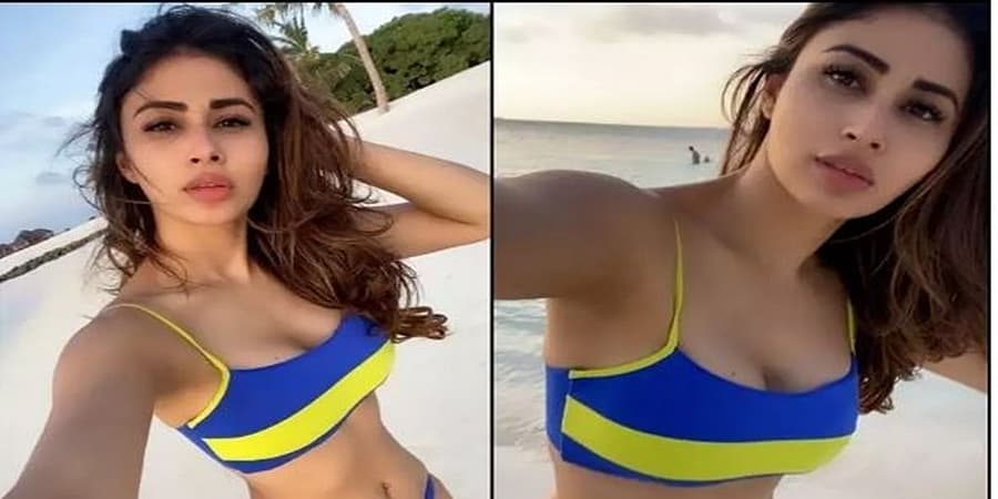 ಬೈಠೆ ಬೈಠೆ ಮ್ಯೂಸಿಕ್ ವಿಡಿಯೋವೊಂದರಲ್ಲಿ ಅವರು ಕೊನೆಯದಾಗಿ ಕಾಣಿಸಿಕೊಂಡಿದ್ದರು.