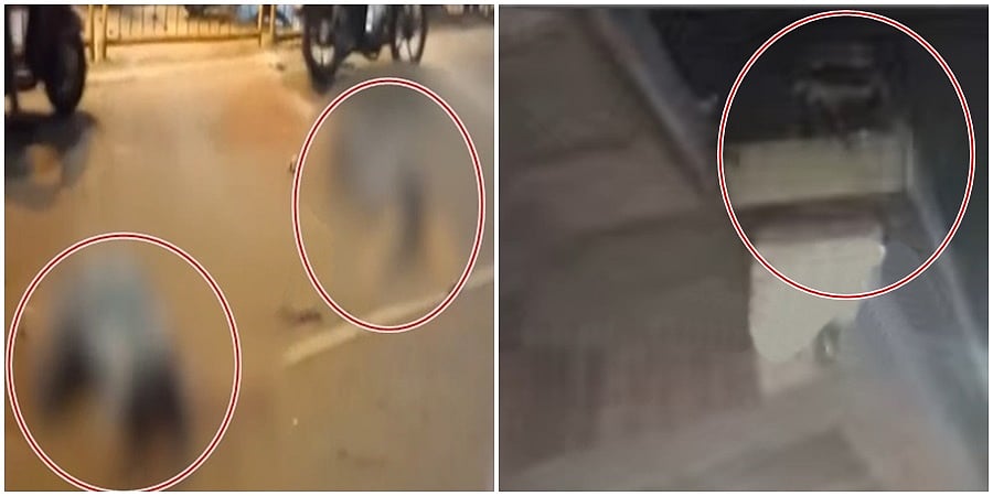 ಬೆಂಗಳೂರು: ಬೈಕ್-ಕಾರು ನಡುವೆ ಭೀಕರ ಅಪಘಾತ; ಎಲೆಕ್ಟ್ರಾನಿಕ್ ಸಿಟಿ ಫ್ಲೈಓವರ್ ನಿಂದ ಬಿದ್ದು ಯುವಕ-ಯುವತಿ ಸಾವು