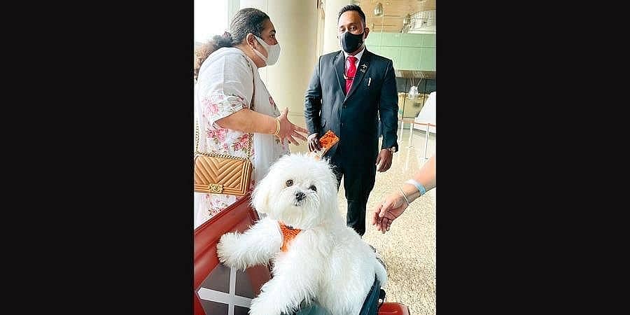 ಸಾಕುನಾಯಿಗಾಗಿ ಇಡೀ ಏರ್ ಇಂಡಿಯಾ ವಿಮಾನದ ಬಿಜಿನೆಸ್ ಕ್ಲಾಸ್ ಕ್ಯಾಬಿನ್ ಬುಕ್ ಮಾಡಿದ ಪ್ರಯಾಣಿಕ ಮಹಿಳೆ