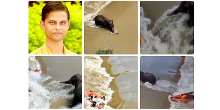 ಆನೆ ರಕ್ಷಣೆ ಕಾರ್ಯಾಚರಣೆ ವರದಿಗೆ ತೆರಳಿದ್ದ ಪತ್ರಕರ್ತ ಸಾವು..!