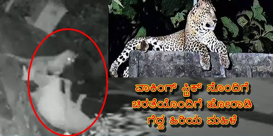 ಮುಂಬೈ: ವಾಕಿಂಗ್ ಸ್ಟಿಕ್‌ ನೊಂದಿಗೆ ಚಿರತೆಯೊಂದಿಗೆ ಹೋರಾಡಿ ಗೆದ್ದ ಹಿರಿಯ ಮಹಿಳೆ