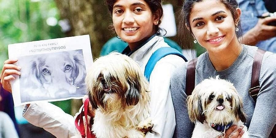 ಸಾರ್ವಜನಿಕ ಸ್ಥಳಗಳಿಗೆ ಸಾಕುಪ್ರಾಣಿ ಕರೆದೊಯ್ಯುವಾಗ ಮಲತ್ಯಾಜ್ಯ ಸಂಗ್ರಹಿಸಲು ಬಯೊ ಬ್ಯಾಗ್ ಕಡ್ಡಾಯಗೊಳಿಸಿ: ಹೈಕೋರ್ಟ್ ಗೆ ಕ್ಯೂಪಾ ಮನವಿ
