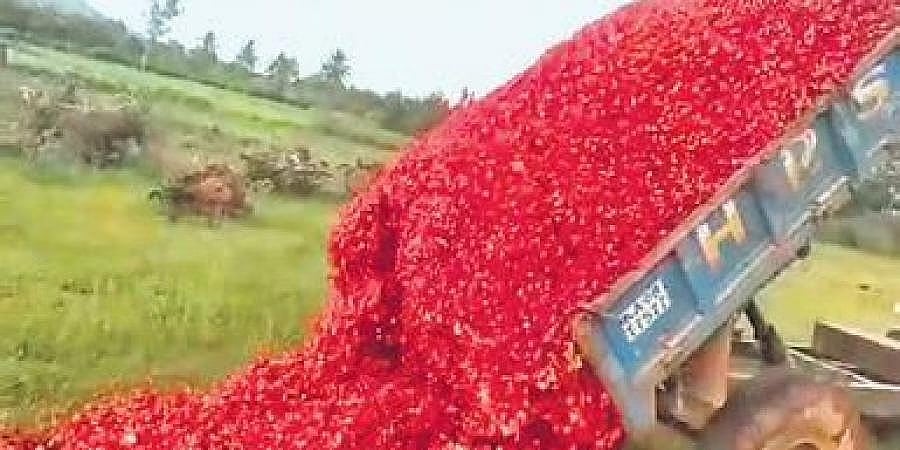ತೀವ್ರ ದರ ಕುಸಿತ: ಟ್ಯ್ರಾಕ್ಟರ್ ಗಳಲ್ಲಿ ತಂದು ರಸ್ತೆಗೆ ಹೂ ಸುರಿದ ಚಿಕ್ಕಬಳ್ಳಾಪುರ ರೈತರು!