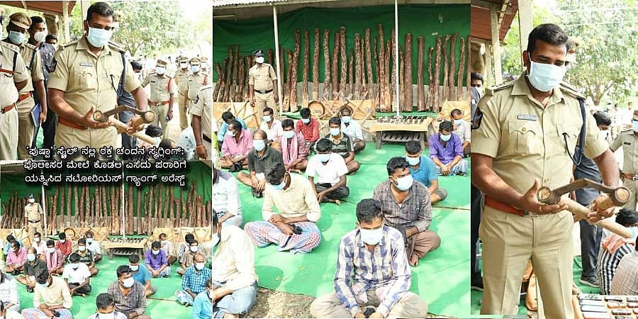 'ಪುಷ್ಪಾ' ಸ್ಟೈಲ್ ನಲ್ಲಿ ರಕ್ತ ಚಂದನ ಸ್ಮಗ್ಲಿಂಗ್; ನಟೋರಿಯಸ್ ಗ್ಯಾಂಗ್ ಅರೆಸ್ಟ್