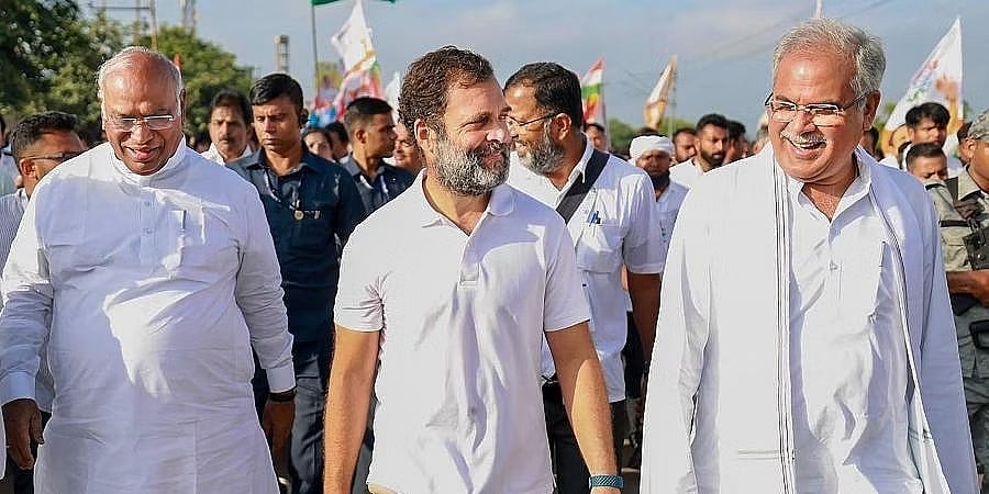 ಪಕ್ಷದಲ್ಲಿನ ನನ್ನ ಪಾತ್ರ, ಕಾರ್ಯ ನಿಯೋಜನೆ ಕುರಿತು ನೂತನ ಅಧ್ಯಕ್ಷರೇ ನಿರ್ಧರಿಸುತ್ತಾರೆ: ರಾಹುಲ್ ಗಾಂಧಿ