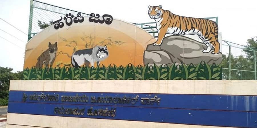 ಹಂಪಿ ಮೃಗಾಲಯಕ್ಕೆ ಶೀಘ್ರ ಹೊಸ ಅತಿಥಿಗಳ ಆಗಮನ; ಬಬೂನ್, ಜಿರಾಫೆ ಸ್ವಾಗತಕ್ಕೆ ಸಿಬ್ಬಂದಿ ಸಿದ್ಧತೆ!