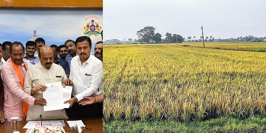 300 ಅಧಿಕಾರಿಗಳ ನೇಮಕ ಮಾಡಲು ಕೃಷಿ ಕೇಡರ್ ನಿಯಮಗಳಿಗೆ ತಿದ್ದುಪಡಿ: ಸಂಪುಟ ಸಭೆ ಅನುಮೋದನೆ