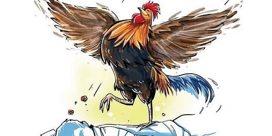 ಚೆನ್ನೈ: ಗೃಹ ಪ್ರವೇಶಕ್ಕೆ ಪ್ರಾಣಿ ಬಲಿ ವೇಳೆ ದುರಂತ; ಕೋಳಿ ಬಚಾವ್, ವ್ಯಕ್ತಿ ಸಾವು!