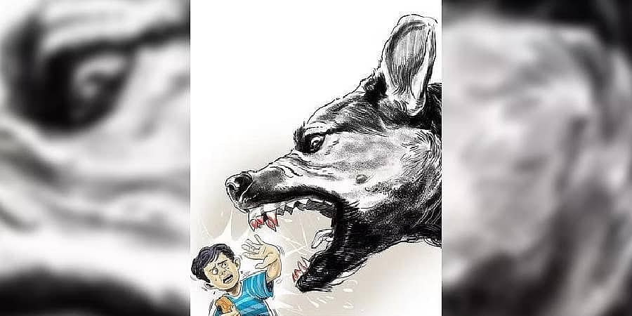 ಬೆಂಗಳೂರು: 8 ವರ್ಷದ ಬಾಲಕನ ಮೇಲೆ ಬೀದಿನಾಯಿಗಳ ದಾಳಿ; ತೀವ್ರ ಗಾಯ