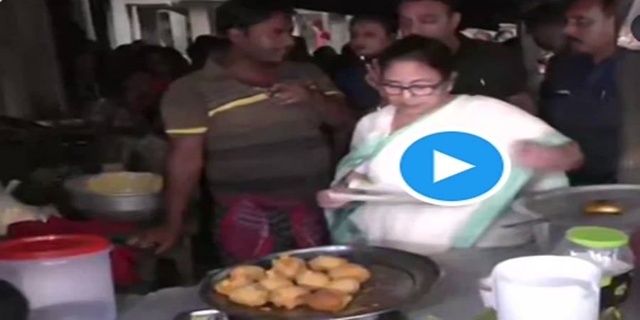ರಸ್ತೆ ಬದಿಯ ಟೀ ಸ್ಟಾಲ್ ಬಳಿ ಬೆಂಗಾವಲು ಪಡೆ ನಿಲ್ಲಿಸಿ, ಜನರಿಗೆ ಪಕೋಡಾ ಹಂಚಿದ ಸಿಎಂ ಮಮತಾ: ವಿಡಿಯೋ