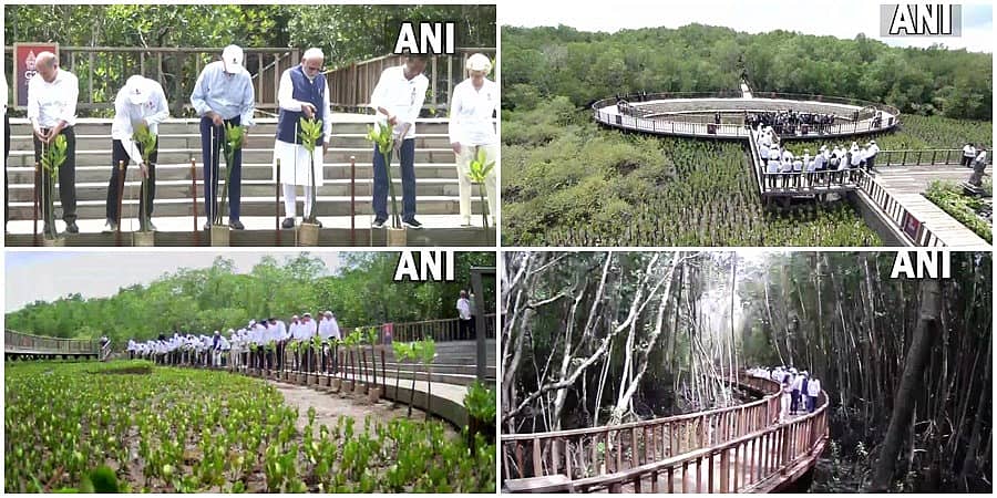 ಇಂಡೋನೇಷ್ಯಾ: ಜಿ20 ಶೃಂಗಸಭೆ 2ನೇ ದಿನ; ಮ್ಯಾಂಗ್ರೋವ್ ಕಾಡಿಗೆ ಭೇಟಿ ನೀಡಿ ಗಿಡ ನೆಟ್ಟ ವಿಶ್ವ ನಾಯಕರು