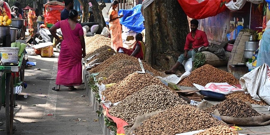 ನಾಳೆ ಬೆಂಗಳೂರು ಕಡಲೆಕಾಯಿ ಪರಿಷೆ: 500ಕ್ಕೂ ಅಧಿಕ ಅಂಗಡಿಗಳು, 5 ಲಕ್ಷಕ್ಕೂ ಹೆಚ್ಚಿನ ಜನರ ಆಗಮನ