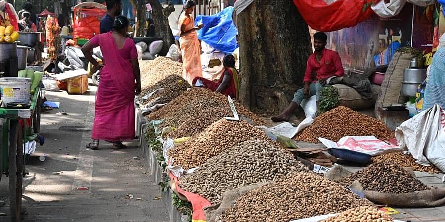 ನಾಳೆ ಬೆಂಗಳೂರು ಕಡಲೆಕಾಯಿ ಪರಿಷೆ: 500ಕ್ಕೂ ಅಧಿಕ ಅಂಗಡಿಗಳು, 5 ಲಕ್ಷಕ್ಕೂ ಹೆಚ್ಚಿನ ಜನರ ಆಗಮನ