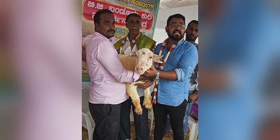 ಬೆಂಗಳೂರಿನಲ್ಲಿ ಕೃಷಿ ಮೇಳ: ಮಂಡ್ಯ ಜಿಲ್ಲೆಯಿಂದ ರೈತ ತಂದಿದ್ದ ಬನ್ನೂರು ಕುರಿ 2.01 ಲಕ್ಷ ರೂಪಾಯಿಗೆ ಮಾರಾಟ