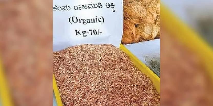 ಕೃಷಿ ಮೇಳದಲ್ಲಿ ಜನರ ಗಮನ ಸೆಳೆದ 'ಕೆಂಪು ರಾಜಮುಡಿ ಅಕ್ಕಿ'