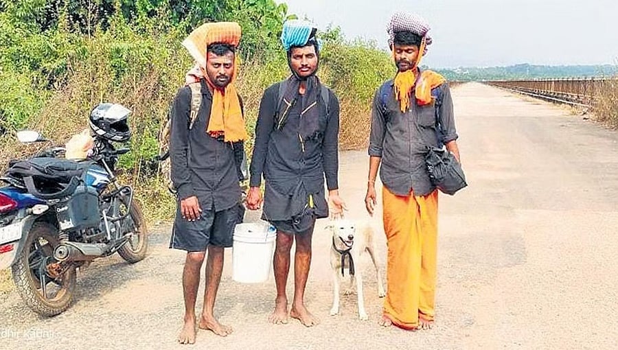 ಮಾಲಾಧಾರಿಗಳೊಂದಿಗೆ ಪಾದಯಾತ್ರೆ ಮಾಡುತ್ತಿರುವ ಶ್ವಾನ: ಅಯ್ಯಪ್ಪನ ಸನ್ನಿಧಿ ಶಬರಿಮಲೆಗೆ ಪಯಣ!