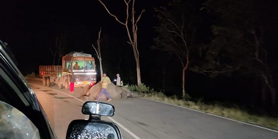 ಬಂಡೀಪುರ: ಲಾರಿ ಡಿಕ್ಕಿಯಾಗಿ ಹೆಣ್ಣಾನೆ ಸಾವು