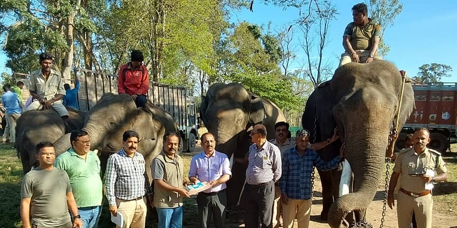 ಕೊಡಗಿನ ದುಬಾರೆಯ ಐದು ಆನೆಗಳು ಮಧ್ಯ ಪ್ರದೇಶದ ಭೋಪಾಲ್ಗೆ ಸ್ಥಳಾಂತರ