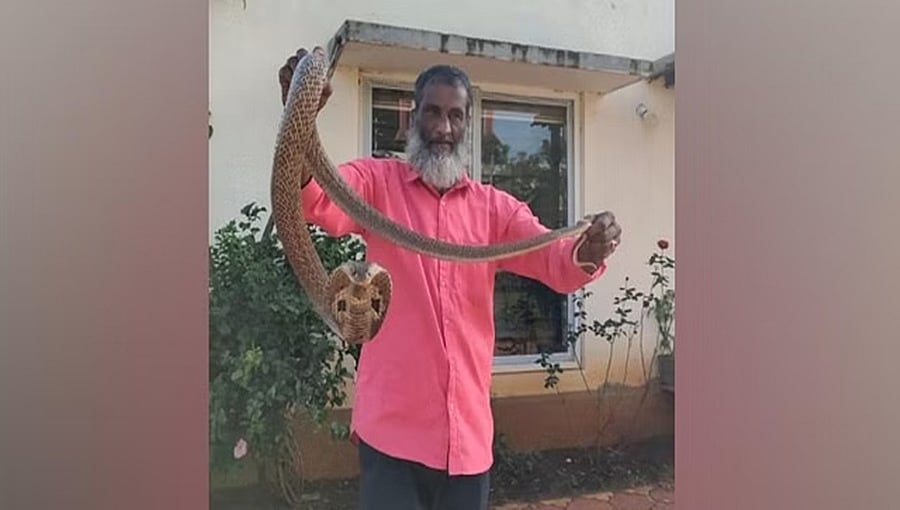 ಹೆಚ್ಚಿನ ಶ್ರಮವಹಿಸಿ ಗಾಯಗೊಂಡಿದ್ದ ನಾಗರ ಹಾವನ್ನು ರಕ್ಷಿಸಿದ ಕೊಡಗಿನ ಸ್ಥಳೀಯ ಉರಗ ರಕ್ಷಕ