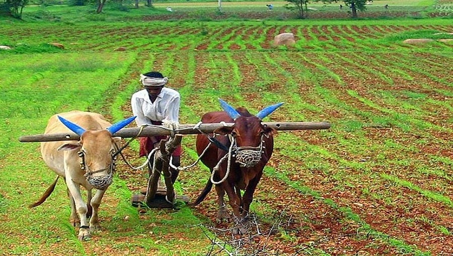 ರಾಜ್ಯ ಬಜೆಟ್ 2022: ಕೃಷಿ ಕ್ಷೇತ್ರಕ್ಕೆ ಬಂಪರ್; 33,700 ಕೋಟಿ ಘೋಷಣೆ; ರೈತರಿಗೆ ಏನೆಲ್ಲಾ ಸಿಗಲಿದೆ!