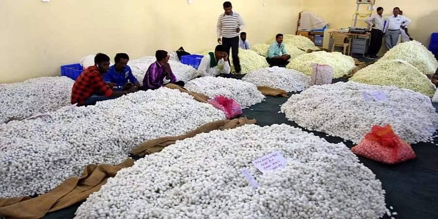 ರಾಜ್ಯ ಬಜೆಟ್ 2022: ರೇಷ್ಮೆ ಬೆಳೆಗಾರರಿಗೆ ಪ್ರೋತ್ಸಾಹ ಧನ ಹೆಚ್ಚಳ, ಹೈಟೆಕ್ ಸರ್ಕಾರಿ ರೇಷ್ಮೆ ಗೂಡು ಮಾರುಕಟ್ಟೆ ನಿರ್ಮಾಣ
