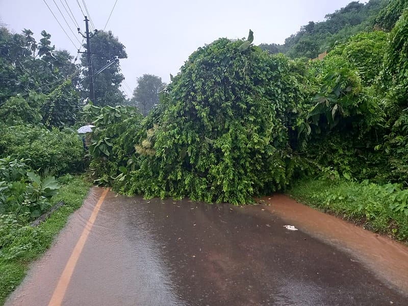 ರೈಲ್ವೆ ಮೂಲಗಳ ಪ್ರಕಾರ, ಹಾಸನ ಮಾರ್ಗದಲ್ಲಿ ಭೂಕುಸಿತ ಸಂಭವಿಸಿದ್ದು, ಮುಂಬೈ (ಕೊಂಕಣ ರೈಲ್ವೆ)-ಮಂಗಳೂರು ಜಂಕ್ಷನ್ ಮತ್ತು ಮುಂದೆ ಕೇರಳ ಕಡೆಗೆ ಮತ್ತು ಮುಂಬೈ-ಹಾಸನ ಮಾರ್ಗಗಳಲ್ಲಿ ಏನೂ ಸಮಸ್ಯೆಯಾಗಿಲ್ಲ (ಪಡೀಲ್ ಬೈಪಾಸ್) ಮಂಗಳೂರು ಮತ್ತು ಹಾಸನ/ಬೆಂಗಳೂರು ನಡುವಿನ ರೈಲು ಸೇವೆಗಳಿಗೆ ತೊಂದರೆಯಾಗಿದೆ ಎಂದು ಅವರು ಹೇ