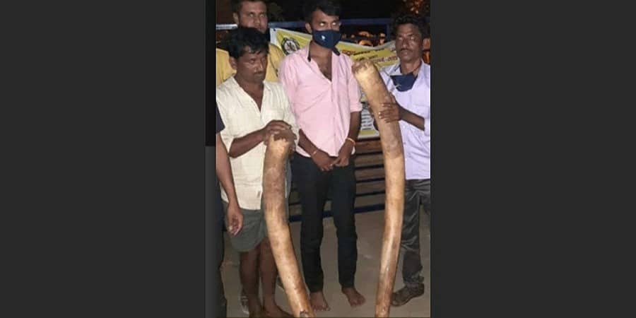 ಆನೆ ಹಂತಕರ ರಕ್ಷಣೆ: ಮನೇಕಾ ಗಾಂಧಿ ಆರೋಪ ತಳ್ಳಿಹಾಕಿದ ಪ್ರಜ್ವಲ್ ರೇವಣ್ಣ