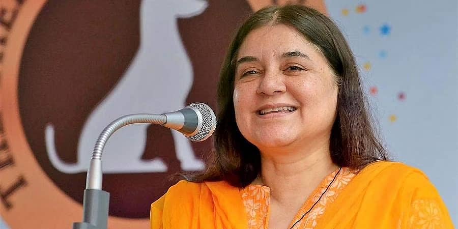 ಸಂಚಲನ ಸೃಷ್ಟಿಸಿದೆ ಸಂಸದೆ ಮನೇಕಾ ಗಾಂಧಿ ಪತ್ರ: ಪ್ರಜ್ವಲ್ ರೇವಣ್ಣ ವಿರುದ್ಧ ಗಂಭೀರ ಆರೋಪ