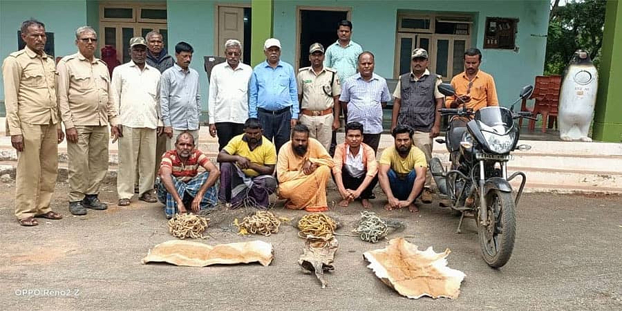 ಕಾಡುಗಳ್ಳತನ ದಂಧೆಯಲ್ಲಿ ಖಾವಿ ವೇಷಧಾರಿಯೇ ಕಿಂಗ್ ಪಿನ್; ಕೃಷ್ಣಮೃಗಗಳ ಚರ್ಮ ವಶಕ್ಕೆ!