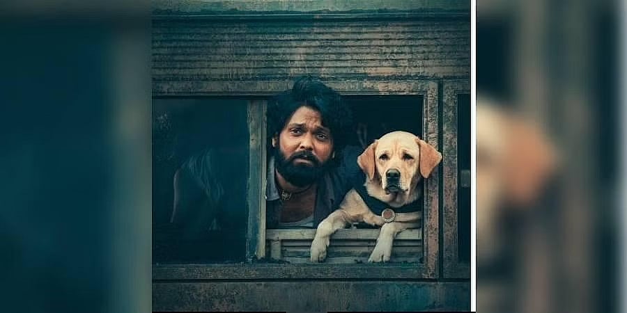 ರಕ್ಷಿತ್‌ ಶೆಟ್ಟಿ ಅಭಿನಯದ ‘777 ಚಾರ್ಲಿ’ ಒಟಿಟಿ ಬಿಡುಗಡೆಗೆ ಡೇಟ್ ಫಿಕ್ಸ್!